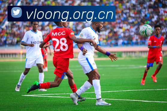 App Interface Preview